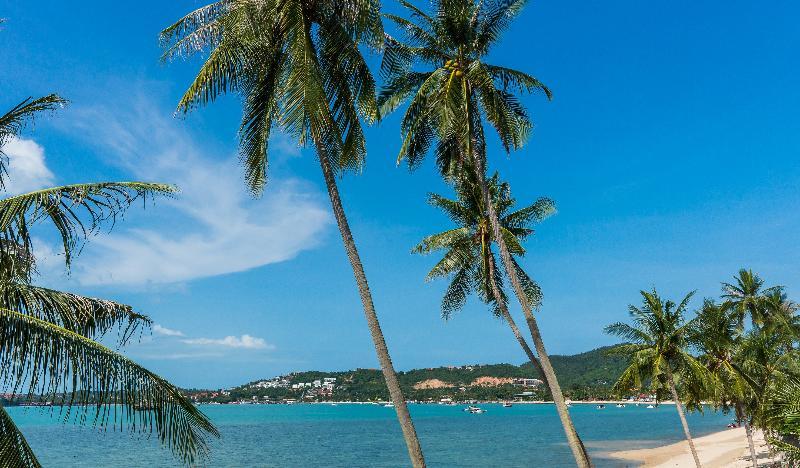 B House Samui Hotel Pantai Bangrak Luaran gambar